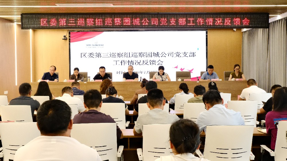区委第三巡察组向园城公司党支部反馈巡察情况